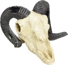 LUCKY REPTILE Декорация для террариума, череп "Skull Ram", 19.5х17х12см (Германия)!