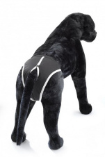 EBI Трусы для собак гигиенические черные, 60-70cм XXL (Нидерланды)!