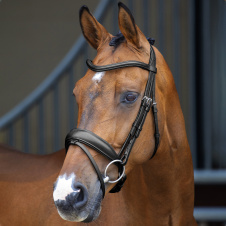 SHIRES LUSSIO Оголовье для лошади "Dressage", COB, чёрный (Великобритания)