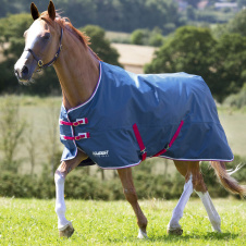 SHIRES TEMPEST Попона прогулочная для лошади "Original Lite", 600D, 0g, 165, чирок (Великобритан