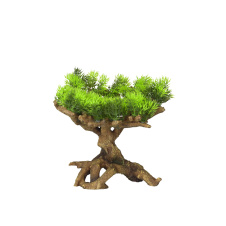 AQUA DELLA Растение для аквариумов "Florascape 11", 22х19х23.5см (Бельгия)