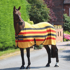 SHIRES TEMPEST Попона флисовая для лошади "Original Newmarket", жёлтый/чёрный/красный, 130 (Великобр