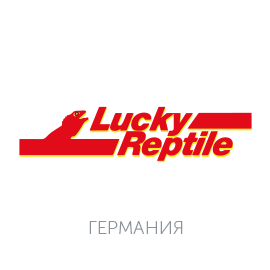 LUCKY REPTILE