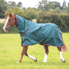 SHIRES TYPHOON Попона прогулочная для лошади с капором "Lite", 840D, 0g, 130, зеленый