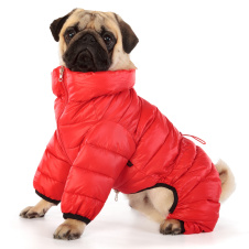 PUPPIA Комбинезон для собак, сверхлегкий "Jumpesuit B", красный, S (Южная Корея)