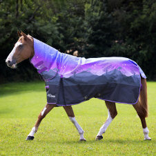 SHIRES HIGHLANDER Попона прогулочная для лошади с капором "Original", 600D, 100g, 155, весеннее утро