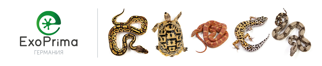 ExoPrima Animals
