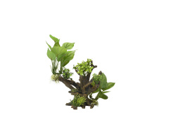 AQUA DELLA Растение для аквариумов "Florascape 4", 20.5x19x23см (Бельгия)!