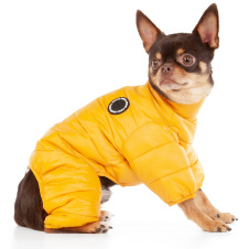 PUPPIA Комбинезон для собак, сверхлегкий "Jumpesuit А", оранжевый, M (Южная Корея)