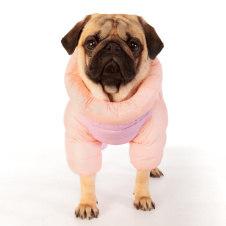 PUPPIA Комбинезон для собак утеплённый "Ultra Light Pastel", розово-сиреневый, L (Южная Корея)