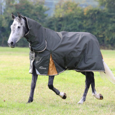 SHIRES HIGHLANDER Попона прогулочная для лошади с капором "Plus Lite", 1200D, 50g, 145 см, зеленый (