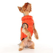 PUPPIA Жилет для собак, сверхлегкий  "Vest B", оранжевый, XL (Южная Корея)