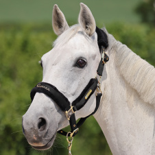 SHIRES ARMA Недоуздок для лошади нейлоновый с чомбуром "Devon", COB, черный (Великобритания)