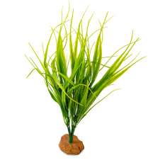 EXOPRIMA Декоративное растение для террариумов "Sumatra Grass", 36х30х30см