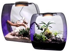 LUCKY REPTILE Террариум "Life Box", фиолетовый, 35х20х35см (Германия)