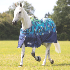SHIRES HIGHLANDER Попона прогулочная для лошади "Original Lite", 600D, 0g, 155, лаймовый павлин (Вел