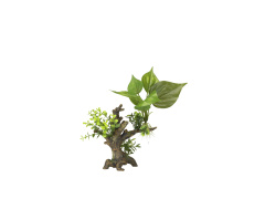 AQUA DELLA Растение для аквариумов "Florascape 6", 16.5x9x14.5см (Бельгия)