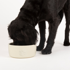 SCRUFFS Миска керамическая для собак "Icon Dog Food", кремовая, 19х19х8см, 1600мл (Великобритания)