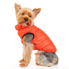 PUPPIA Жилет для собак, сверхлегкий  "Vest B", оранжевый, S (Южная Корея)
