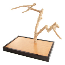 Кофейное Дерево (Coffee Wood) Игровая площадка для птиц "Кофейное дерево", M (Вьетнам)