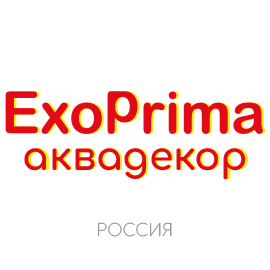 EXOPRIMA Декор