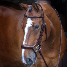 SHIRES Velociti Оголовье для лошади "Ergonomic", COB, коричневый (Великобритания)