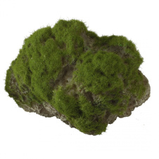 AQUA DELLA Декоративный камень с мхом для аквариума "Moss Stone", 12x9.5x10.5см (Бельгия)!