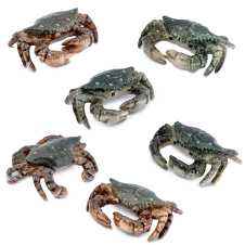 KLIMA Краб, зеленый, 4см (Франция)