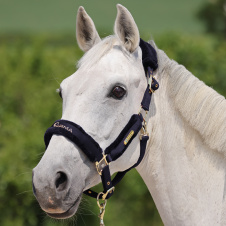 SHIRES ARMA Недоуздок для лошади нейлоновый с чомбуром "Devon", COB, синий (Великобритания)
