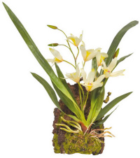 LUCKY REPTILE Декоративное растение "Hanging Orchid", белое, 20х30см (Германия)!