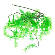 LUCKY REPTILE Декоративное растение для террариумов "Turtle Plant Horn Fern", 40см (Германия)