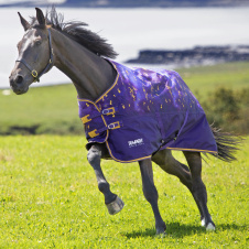 SHIRES TEMPEST Попона прогулочная для лошади "Original Lite", 600D, 0g, 145, аметист (Великобритания