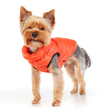 PUPPIA Жилет для собак, сверхлегкий  "Vest B", оранжевый, M (Южная Корея)