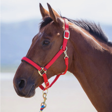 SHIRES Недоуздок для лошади "Topaz", COB, красный