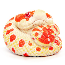 EXOPRIMA Фигурка свиноносной змеи, жёлто-красная