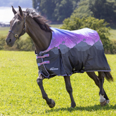 SHIRES HIGHLANDER Попона прогулочная для лошади с отстегным капором "Original", 135, весеннее утро