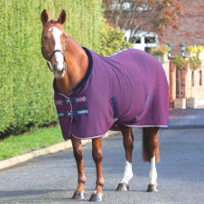 SHIRES TEMPEST Попона сушильная для лошади "Team SHIRES",155, синий (Великобритания)