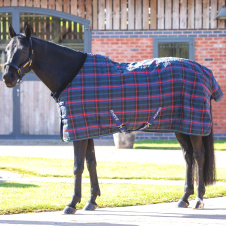 SHIRES TEMPEST Попона денниковая для лошади "Plus", 600D, 100g, 145, синий тартан (Великобритания