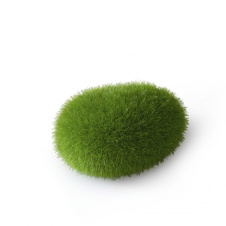 AQUA DELLA Декоративный мох для аквариума "Moos Ball", 6x4.5x3.5см (Бельгия)