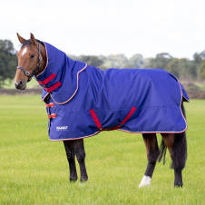 SHIRES TEMPEST Попона прогулочная для лошади с отстегным капором "Original", 100g, 145, синий