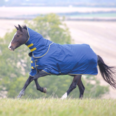 SHIRES TEMPEST Попона прогулочная для лошади с отстегным капором "Original", 600D, 300g, 155, синий 