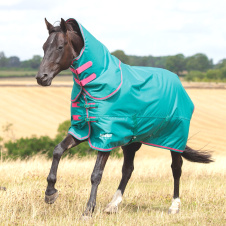 SHIRES TEMPEST Попона прогулочная для лошади с отстегным капором "Original", 100g, 145, изумруд!