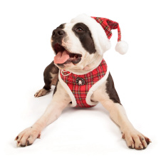 PUPPIA Колпак для собак новогодний "Santa", красная клетка, S (Южная Корея)