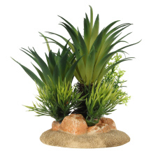 AQUA DELLA Растение для аквариумов "Sago Palm", 16x10x13.5см (Бельгия)