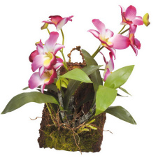 LUCKY REPTILE Декоративное растение "Hanging Orchid", розовое 20х30см (Германия)!