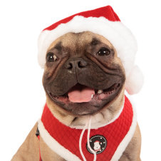PUPPIA Колпак для собак новогодний "Santa", красный, S (Южная Корея)