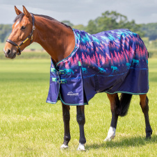 SHIRES HIGHLANDER Попона прогулочная для лошади "Original Lite", 600D, 0g, 165, синий лес (Великобри