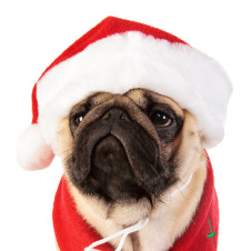 PUPPIA Колпак для собак новогодний "Santa", красный, M (Южная Корея)