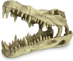 LUCKY REPTILE Декорация для террариумов, череп "Skull Krokodil", 25x11.2x15.2см (Германия)!