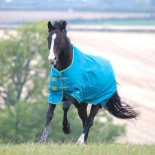 SHIRES TEMPEST Попона прогулочная для лошади "Original", 600D, 300g, 155, голубой (Великобритания)